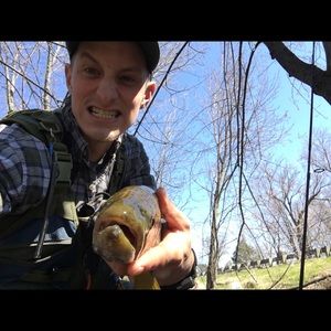 Meet your Posher, Zach